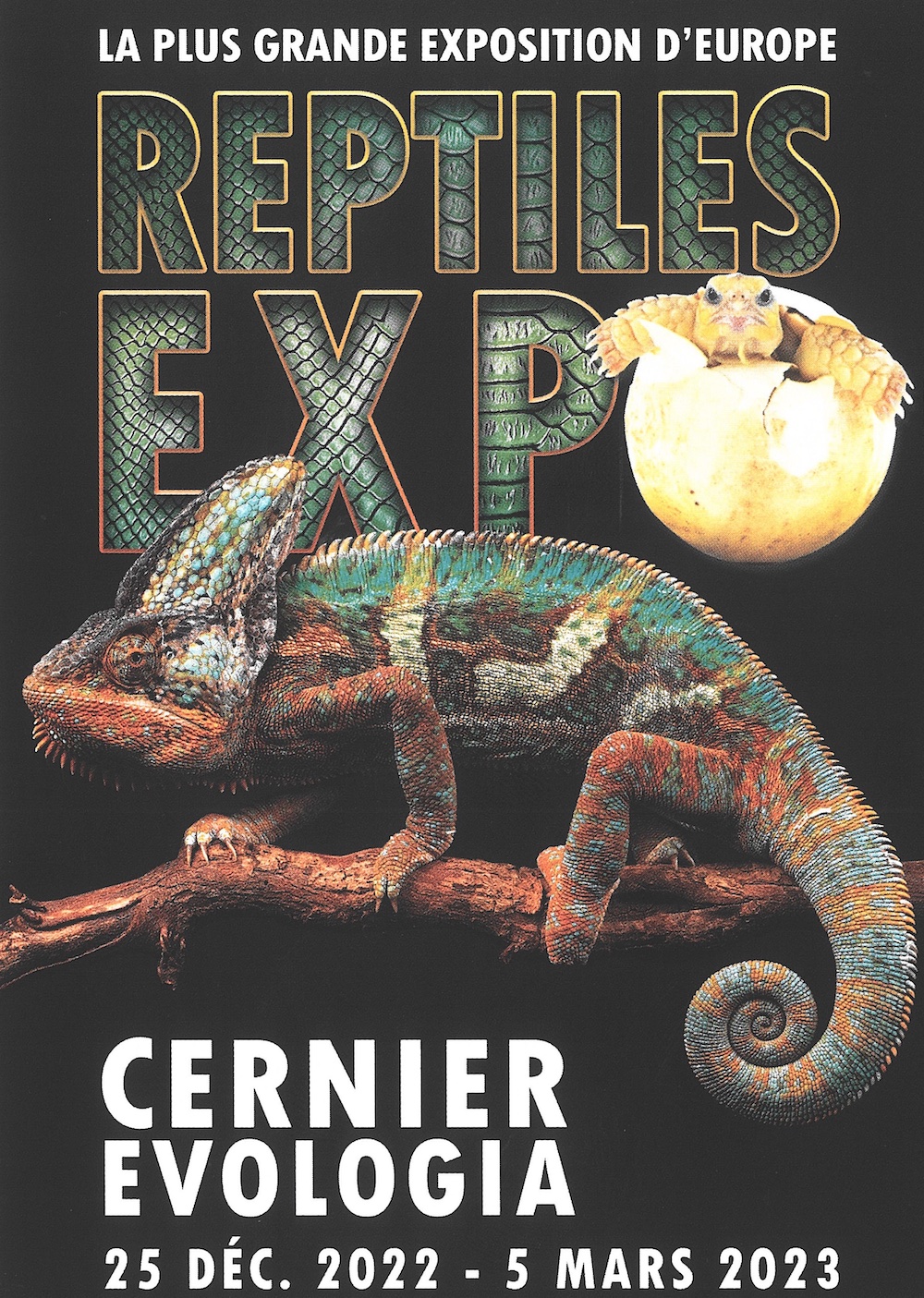 reptilesexpobigger