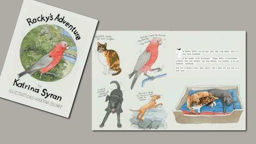 Rockys Adventure cover site