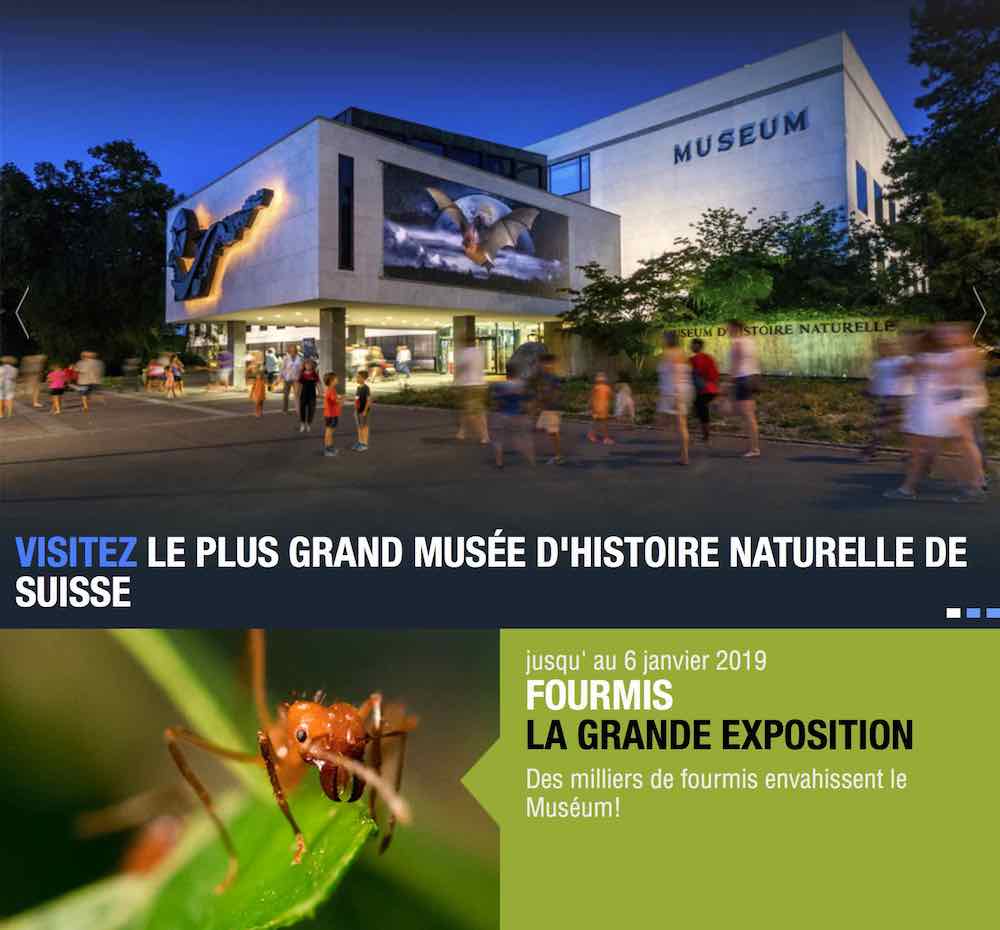 Fourmis