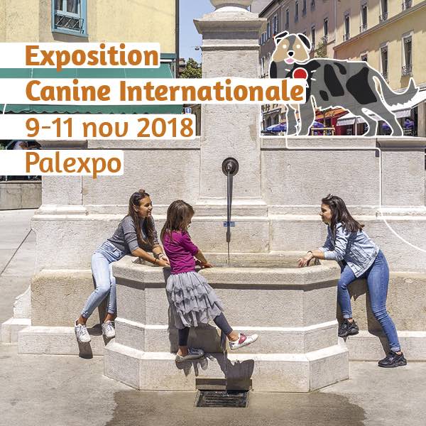 canin600x600