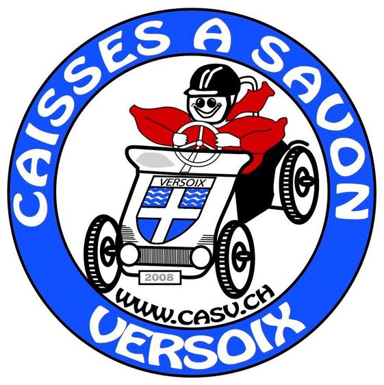 logo casv