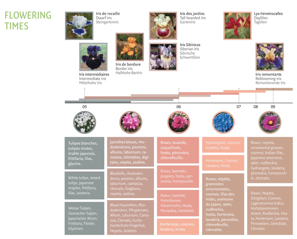 irisfloweringtimes