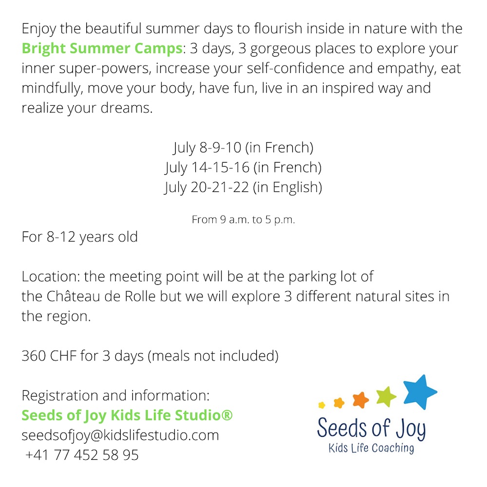 Bright Summer Camps Description copy