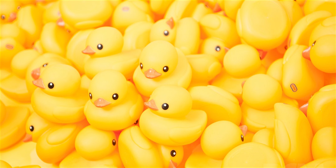 https cdn.evbuc.com images 84815335 271929920501 1 original.20191217 125638