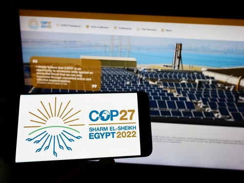COP 27