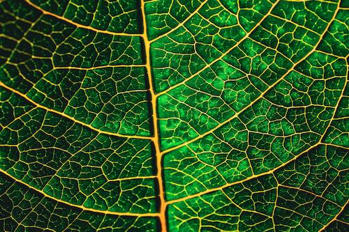 structure in nature