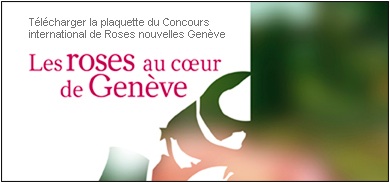 rosesgeneve