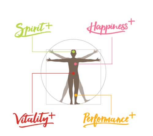 Takinoa holistic