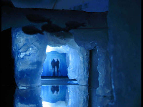 AQUATIS Alpine RegionCreatime