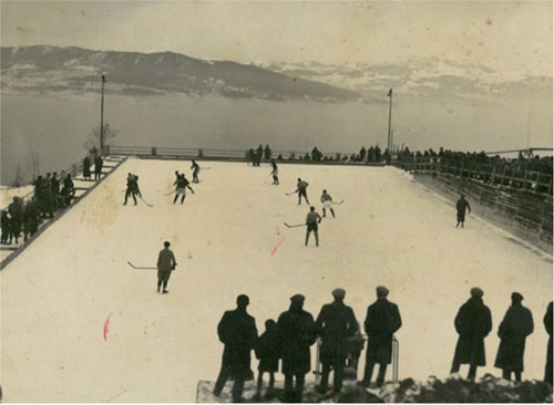 Saleveicerink1