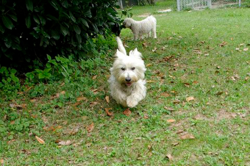 Of Liberty Luna est tres photo genique