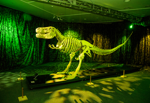 AOTB dinoseoul photo by robin kim