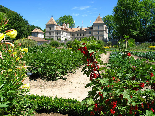 chateau de prangins 20 years 1