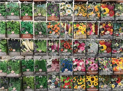 seedsflowers