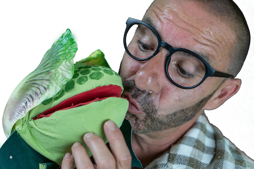 Seymour mini Audrey II