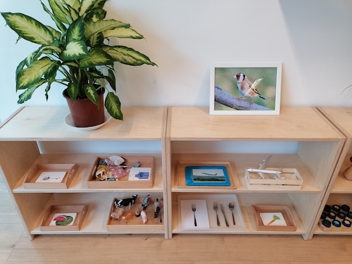 Toddler Community language shelf