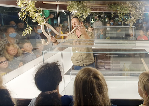 Reptiles show e1672321444814