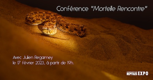conference