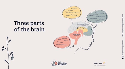 brainbasedparentingworkshopscreenshot2