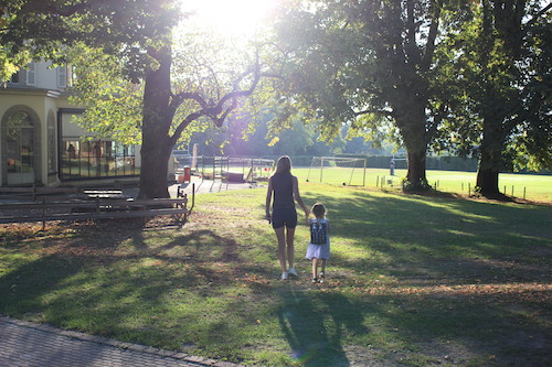 GES field in summer