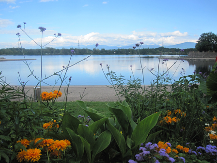 flowersandlake