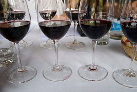 chateau mercier wine tasting syrah switzerland web1