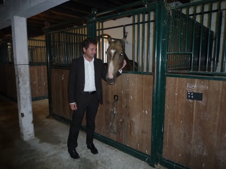 gpc_horse