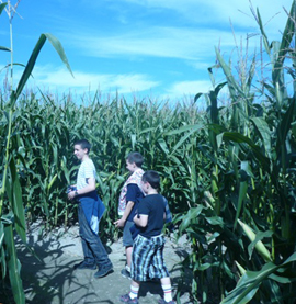 Kids in maze
