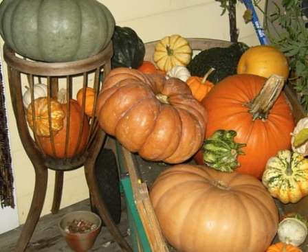 pumpkins