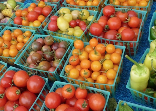 tomatoes